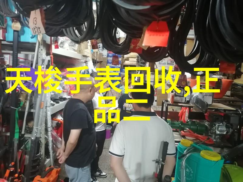 欧米茄海马Aqua Terra GMT同轴计时表