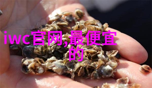 飞亚达陀飞轮60周年限量版腕表